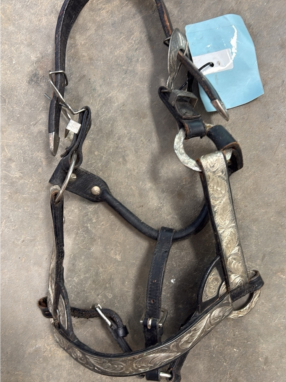 SHOW HALTER : Leather Equine Halter in Black w/ Silver plated Accents read info